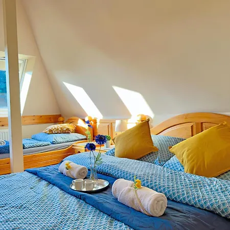 Penzion Szt. Florian Vendeghaz