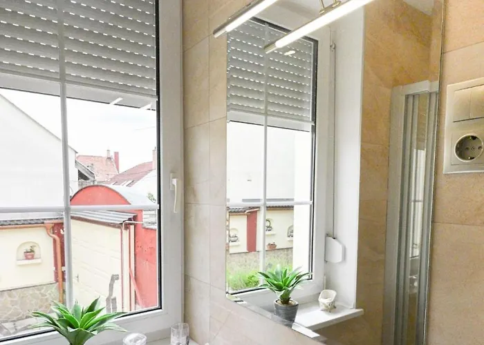 招待所 圣弗洛里安范德海兹酒店 3*