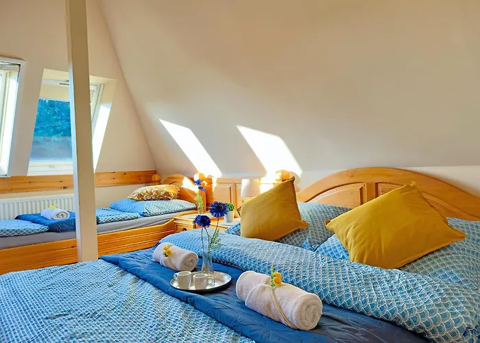 招待所 圣弗洛里安范德海兹酒店