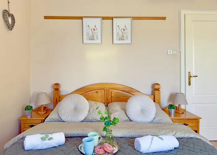 圣弗洛里安范德海兹酒店 3*